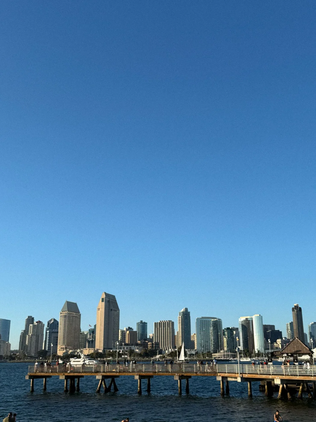 San Diego skyline and harbor at golden hour