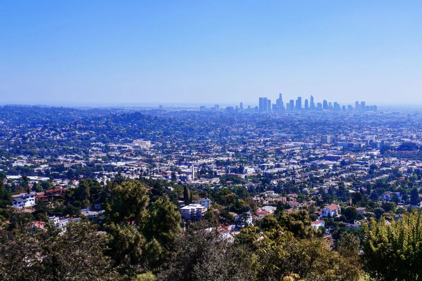 Los Angeles skyline seen from a hillside overlook