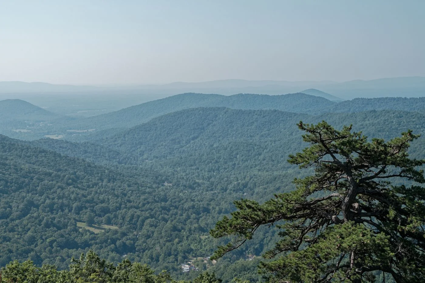 Forested ridges in Shenandoah National Park