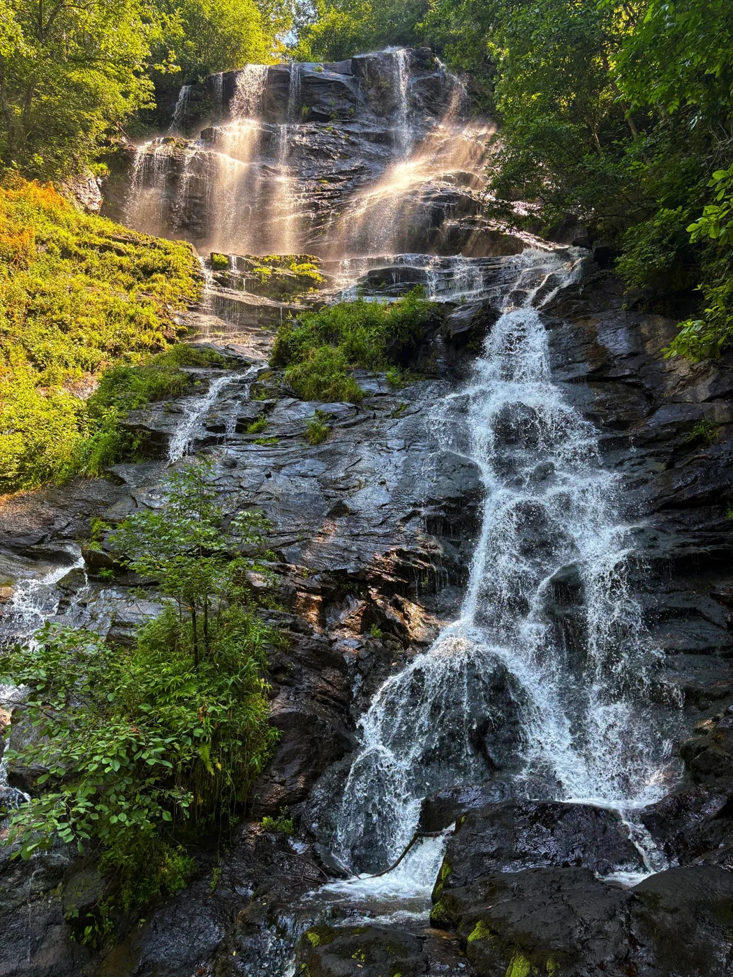 A waterfall surrounded by greenery near Blue Ridge Georgia