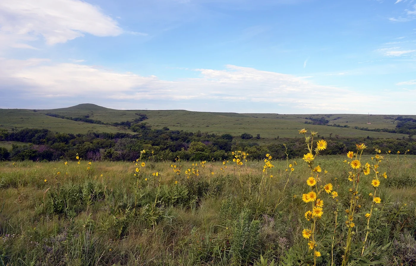 Tallgrass prairie in the Flint Hills of Kansas