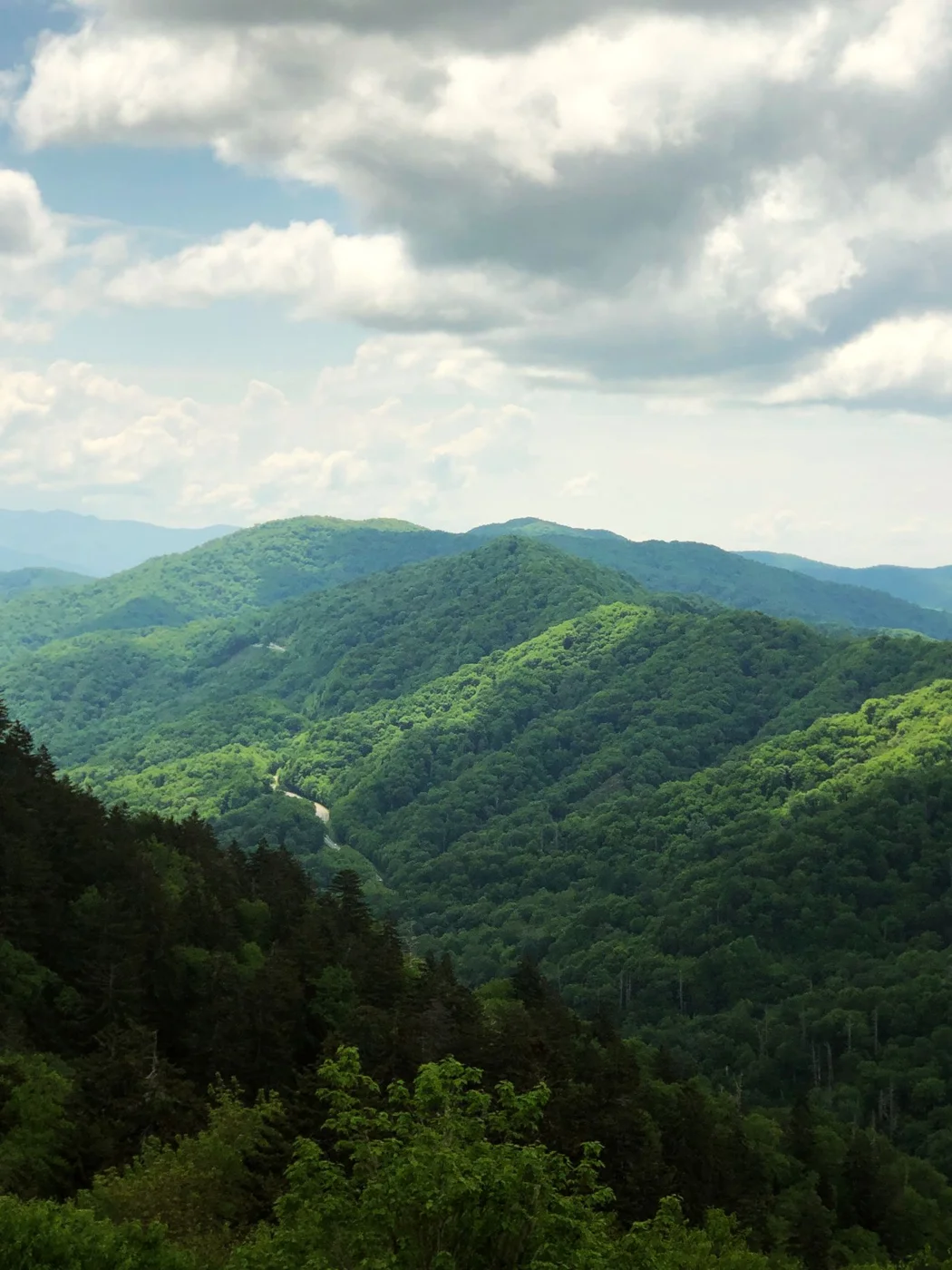 Forested ridges of the Great Smoky Mountains