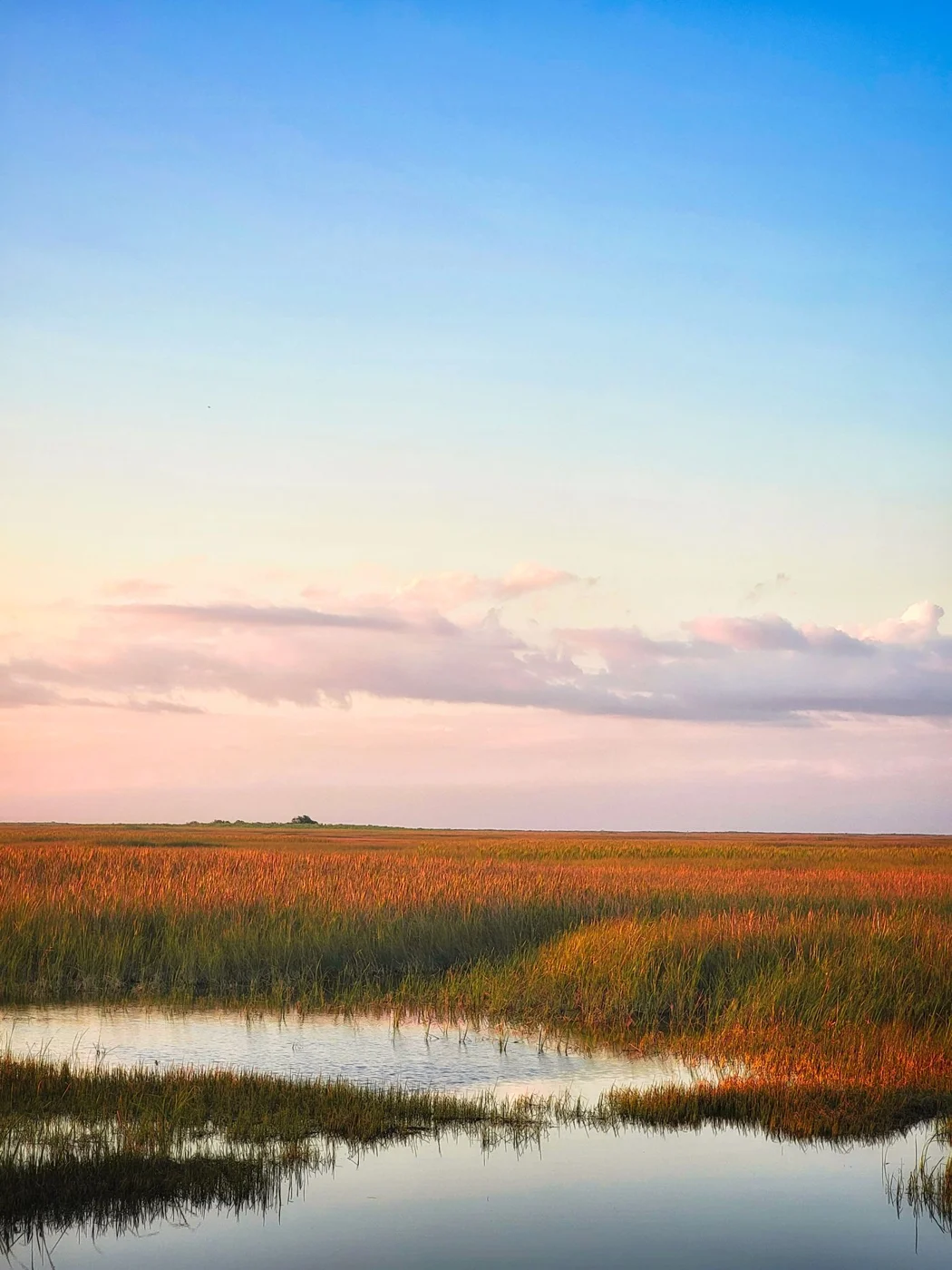 Sunset across Everglades marshland in Florida