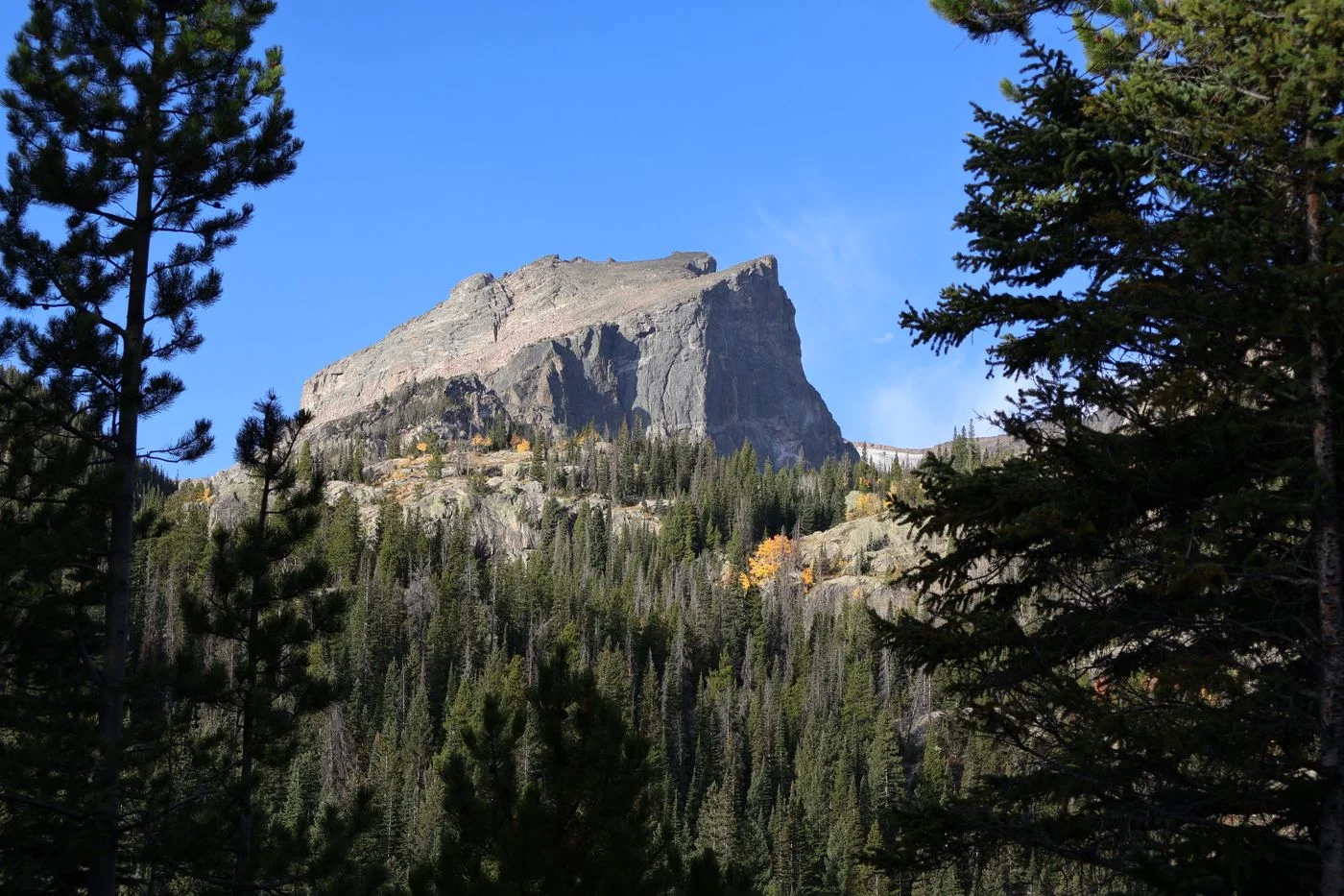 Mountain peaks and forest in Rocky Mountain National Park