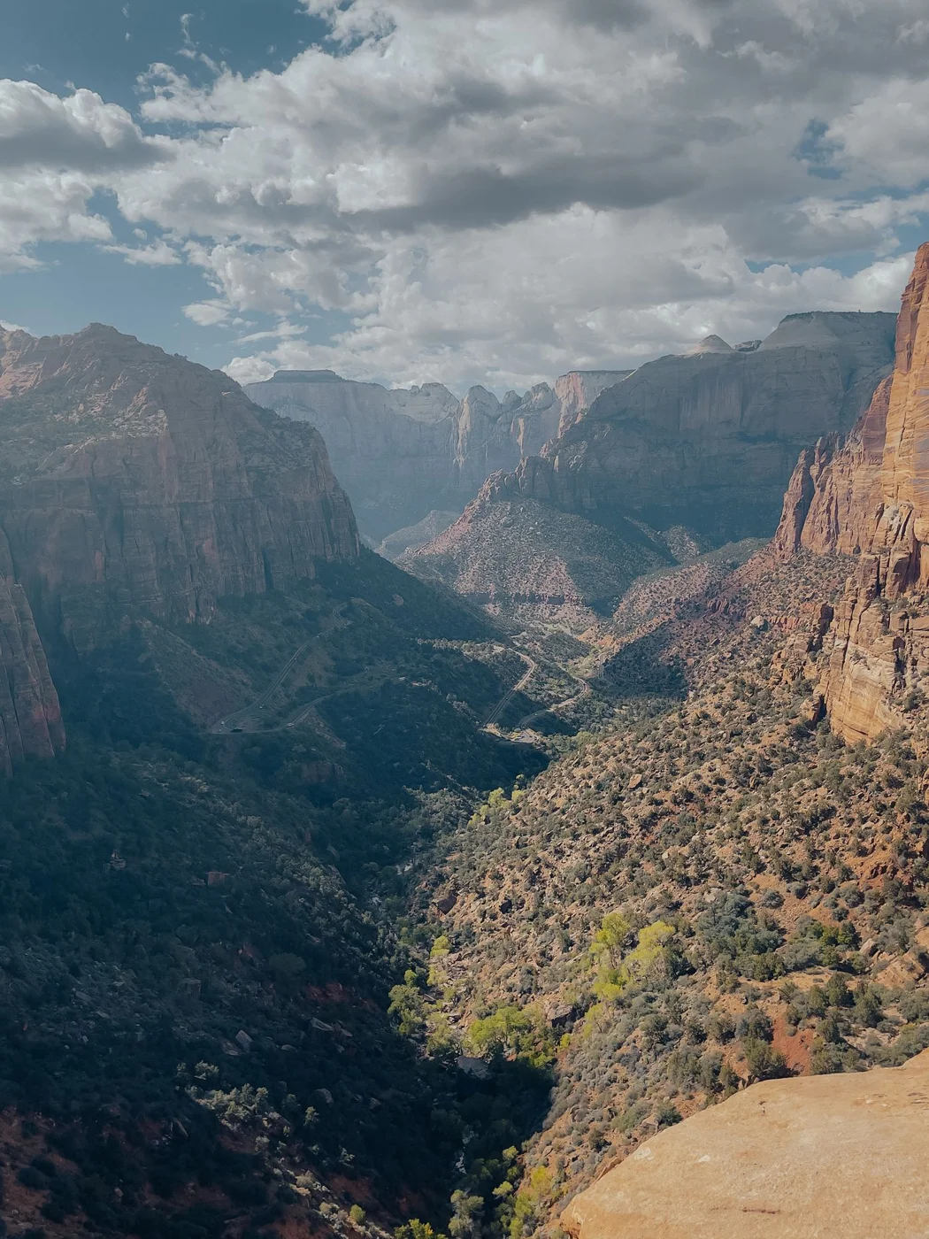Cliffs rising above Zion Canyon