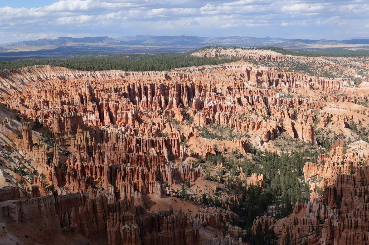 Hoodoo rock formations in Bryce Canyon
