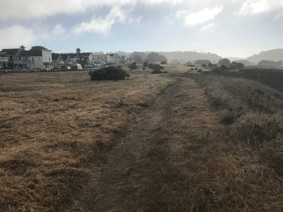 Mendocino village and coastal headlands in California