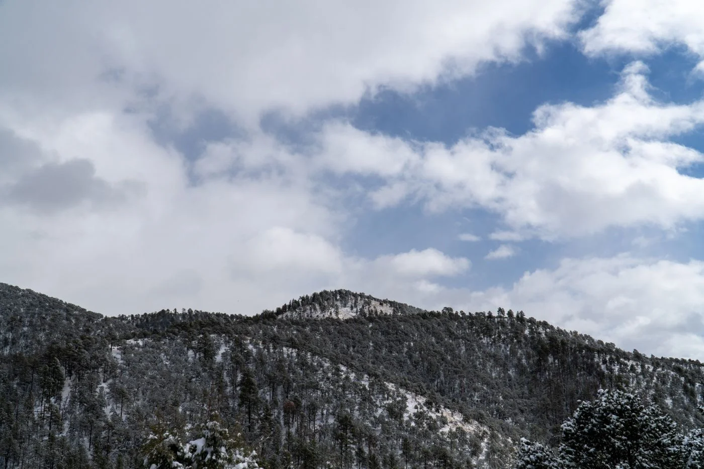Snow on the Sangre de Cristo Mountains near Santa Fe